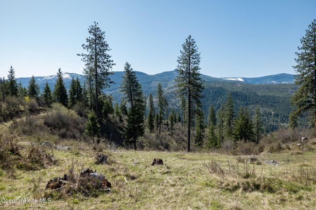 262 North Side Road, Home with 0 bedrooms, 0 bathrooms and null parking in Calder ID | Image 65