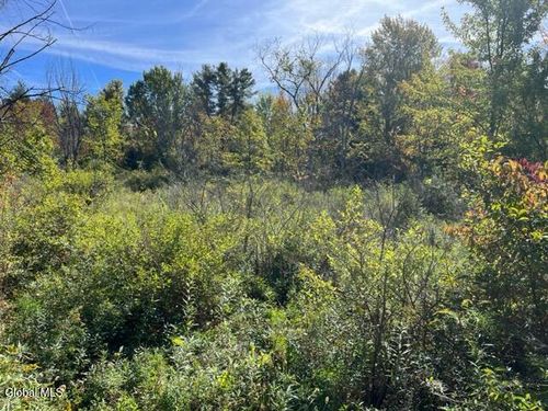 L16.4 Duanesburg Rd, Duanesburg, NY, 12056 | Card Image