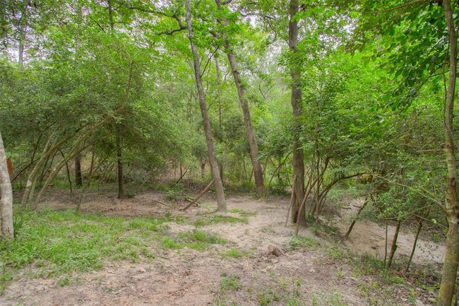 1209 Trinity Cove Dr, House other with 2 bedrooms, 1 bathrooms and null parking in Trinity TX | Image 20