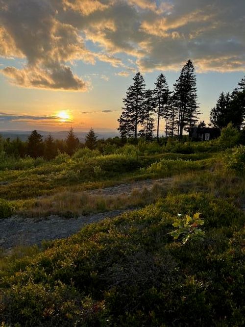 533 Mount Ephraim Map 4 Lot 63 Road, Searsport, ME, 04974 | Card Image