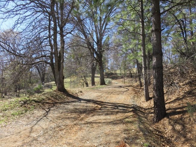 4196 Bald Mountain Rd, Home with 0 bedrooms, 0 bathrooms and null parking in West Point CA | Image 30