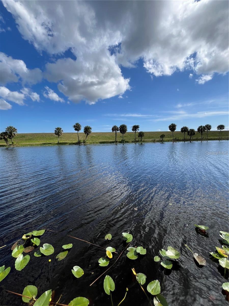 Duck Ln, Okeechobee, FL 34974