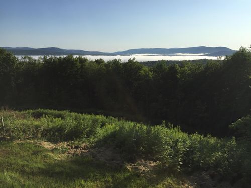 925 Hunters Lane, Charleston, VT, 05872 | Card Image