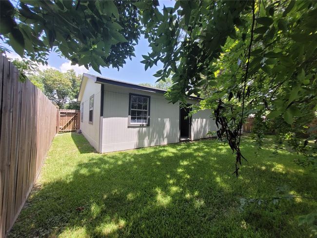 Back yard | Image 34