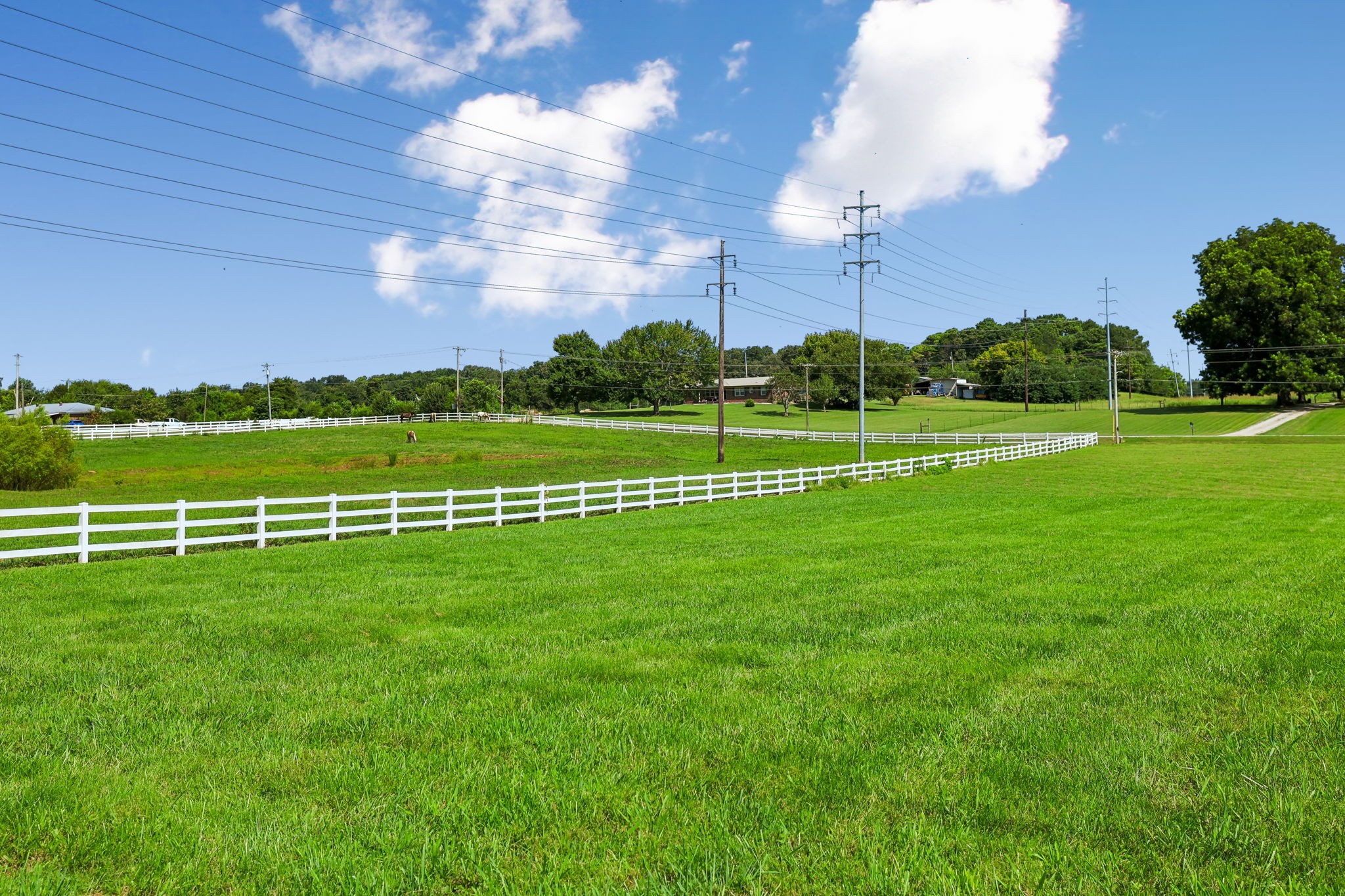 Land in Winchester 4