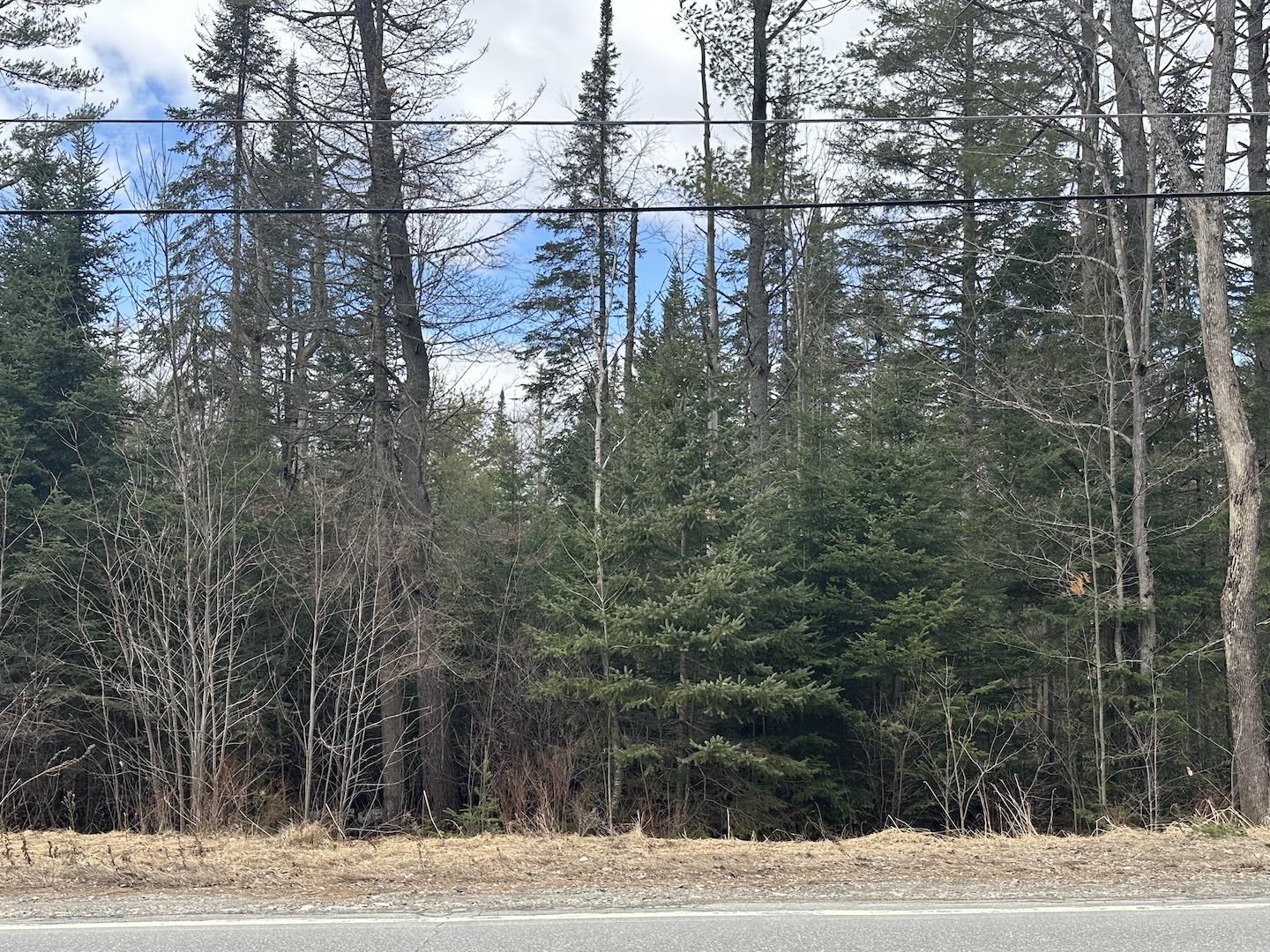 Land in Littleton 5