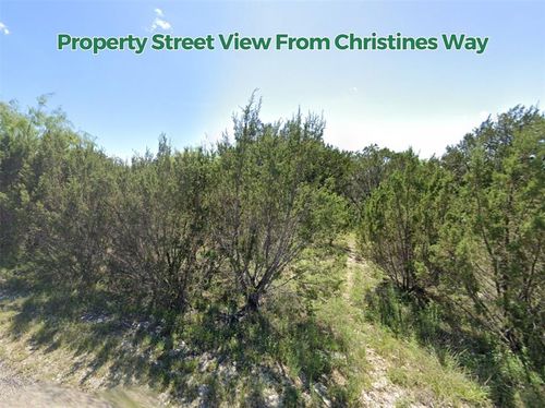 tbd Christines Way, Bluff Dale, TX, 76433 | Card Image