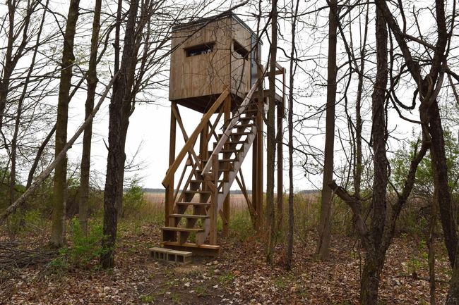 East Deer Blind | Image 34