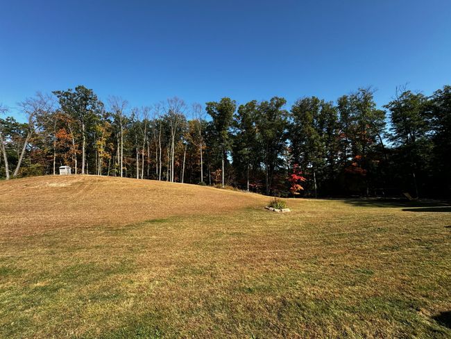 Woods view with pond | Image 32
