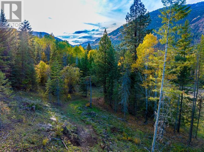 Lot 1 Corn Creek Rd, Home with 0 bedrooms, 0 bathrooms and null parking in Creston BC | Image 24