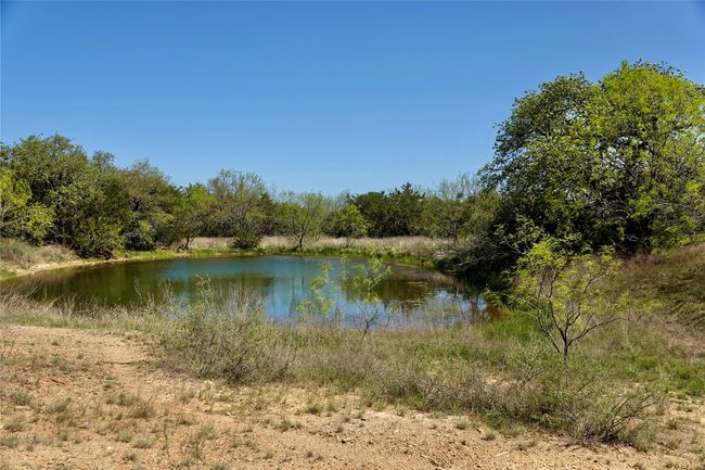 12345 County Road 107, Home with 0 bedrooms, 0 bathrooms and null parking in Mingus TX | Image 4