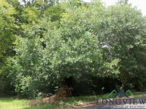3411 Larkspur Lane, Kilgore, TX, 75662-2738 | Card Image