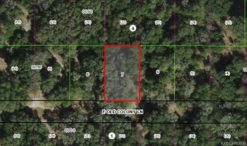 2037 E Old Colony Ln, Inverness, FL, 34453-2638 | Card Image