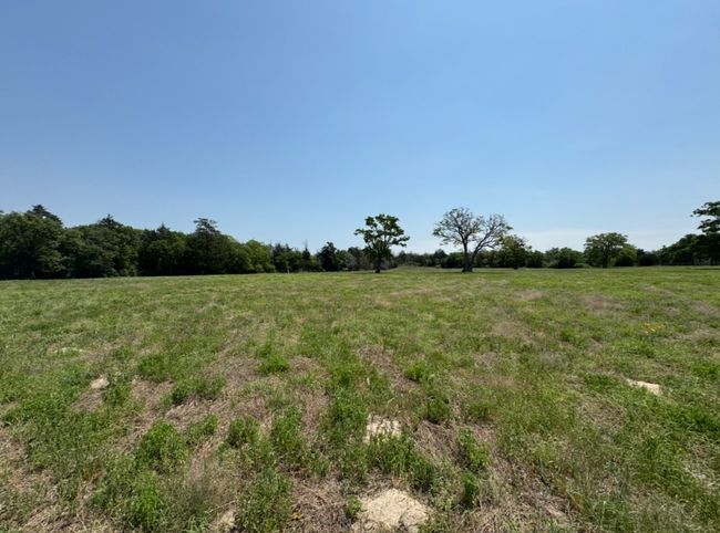 View of landscape with a rural view | Image 13