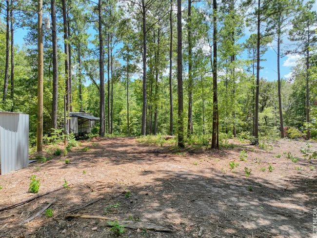 10 Fm 83, Home with 0 bedrooms, 0 bathrooms and null parking in Broaddus TX | Image 8