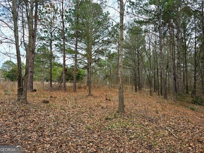 0 Willow St, Home with 0 bedrooms, 0 bathrooms and null parking in Stephens GA | Image 5