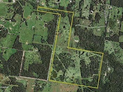 6125 Crane Ln, North Zulch, TX, 77872-6596 | Card Image