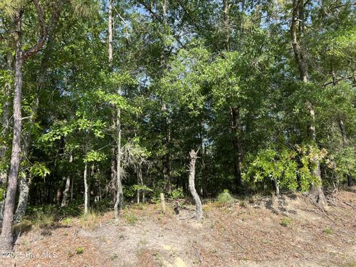 0 Off Shaw Highway, Rocky Point, NC, 28457 | Card Image