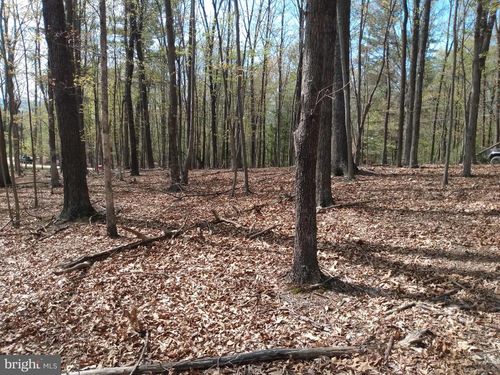 Lot 50 Birch Grove Ln, BERKELEY SPRINGS, WV, 25411 | Card Image