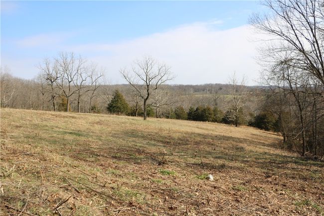 57 Sugar Creek Road, Home with 0 bedrooms, 0 bathrooms and null parking in Washburn MO | Image 19