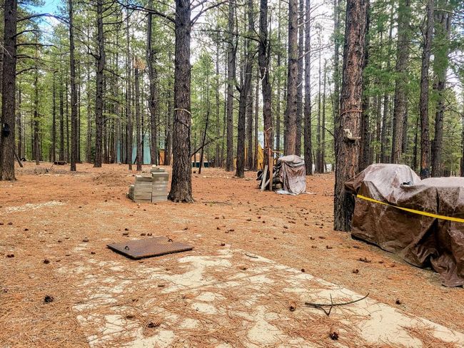 Firepit | Image 5