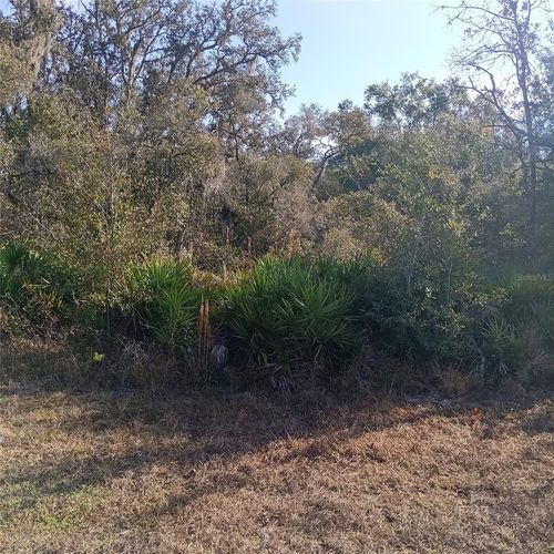 8110 Treiman Blvd, WEBSTER, FL, 33597 | Card Image