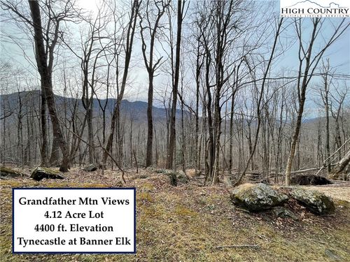 TBD Tynecastle Dr, Banner Elk, NC, 28604 | Card Image