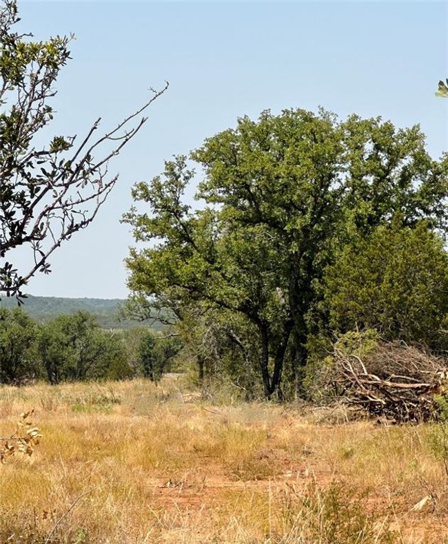 15795 Us 377 S, For Sale in Brookesmith Zoocasa