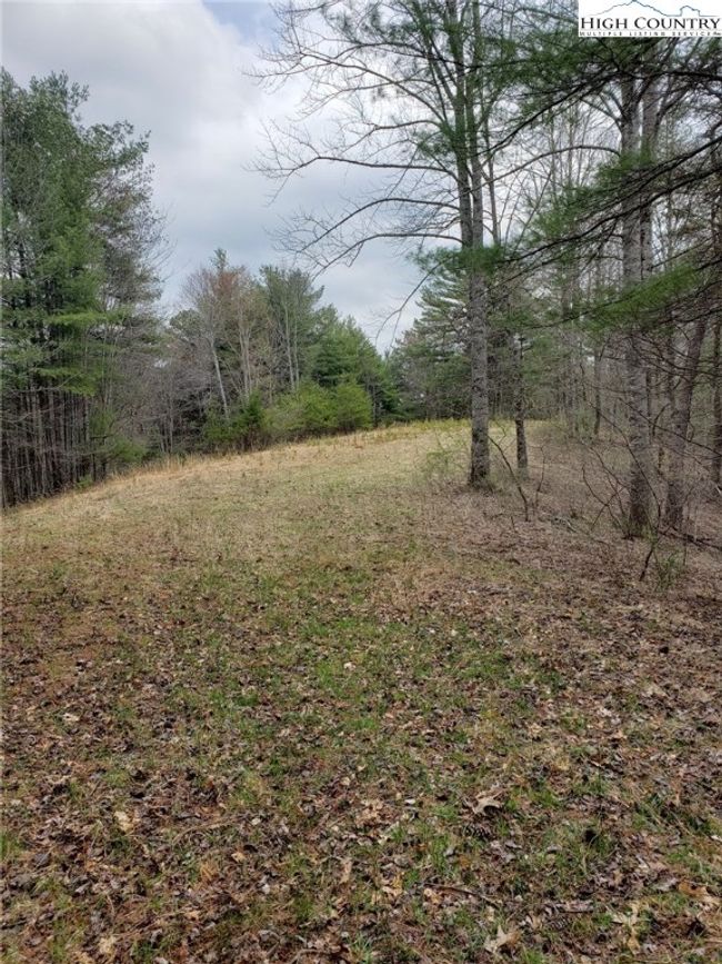 The cleared area for building | Image 9