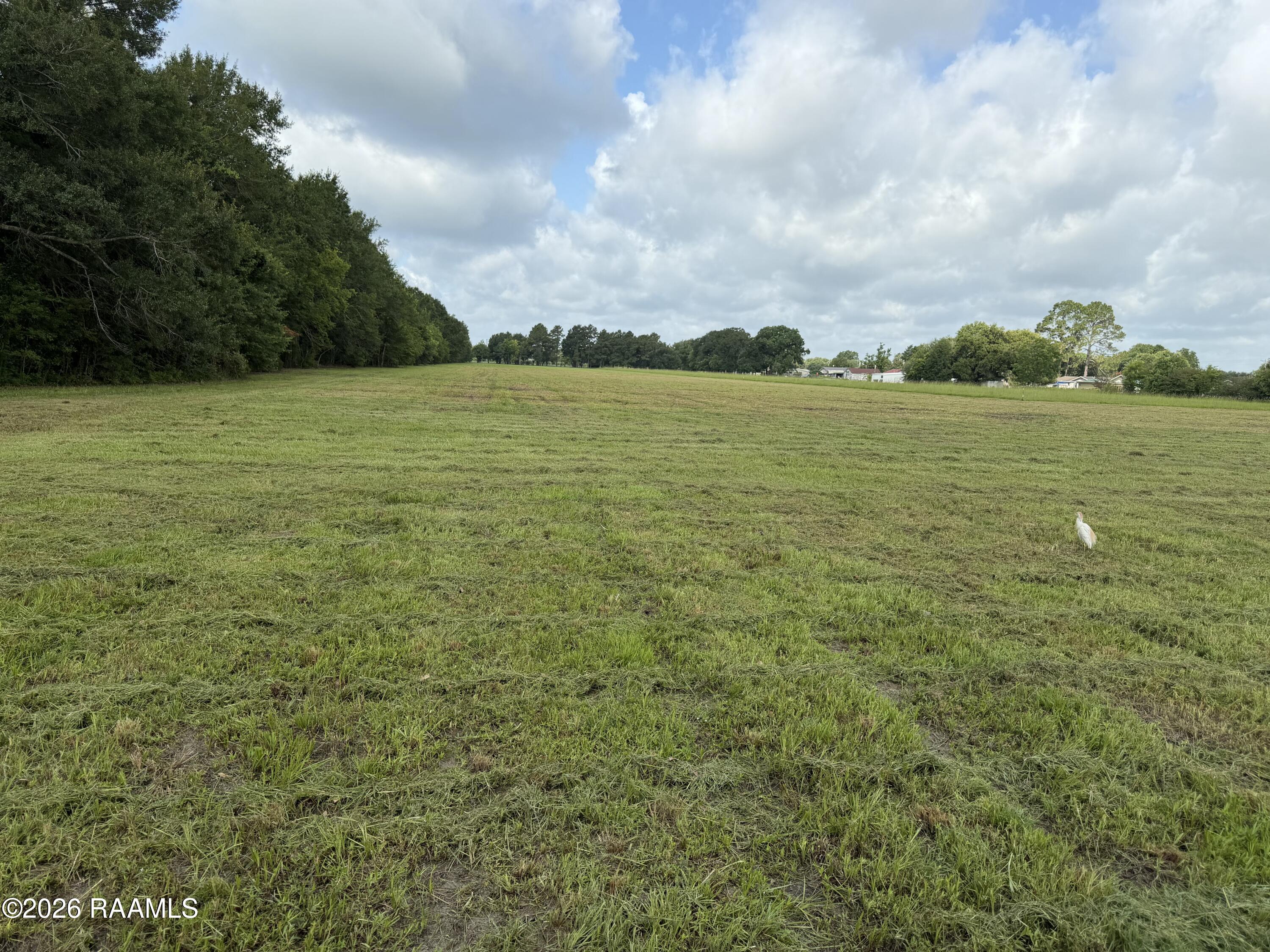 Land in Breaux Bridge 3