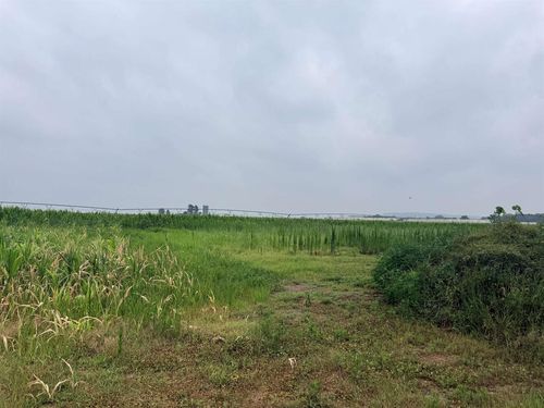 16.03 Acres Dennis Court, Prairie Du Sac, WI, 53578 | Card Image