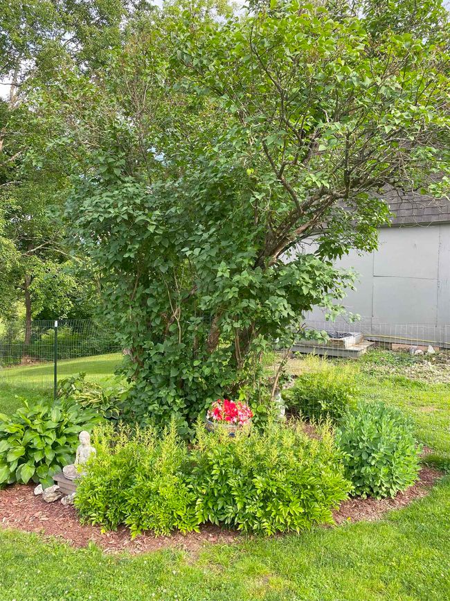 235 Blissville Rd, House other with 1 bedrooms, 1 bathrooms and null parking in Castleton VT | Image 10