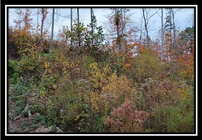 TRACT-1 - 34482 Huston Rd, Home with 0 bedrooms, 0 bathrooms and null parking in Radcliff OH | Image 25