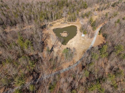 00 Black Ash Road, Woodhull, NY, 14898 | Card Image
