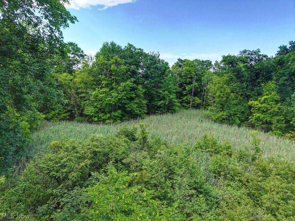 Land in Streetsboro 4