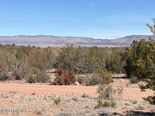 58102 N Bridge Canyon Pkwy, Seligman, AZ, 86337 | Card Image