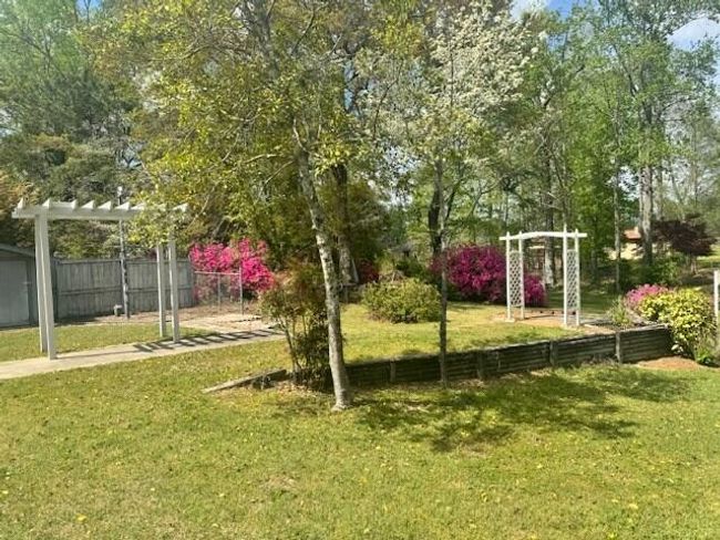 169646_3 | Image 4