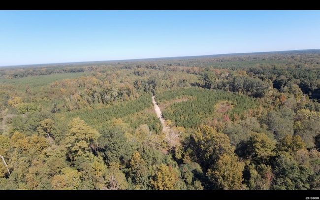 000 Dallas 273 Rd, Home with 0 bedrooms, 0 bathrooms and null parking in Sparkman AR | Image 20