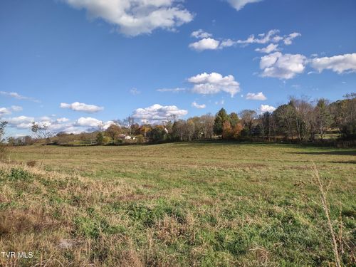 Tbd Springfield Dr, Meadowview, VA, 24361 | Card Image