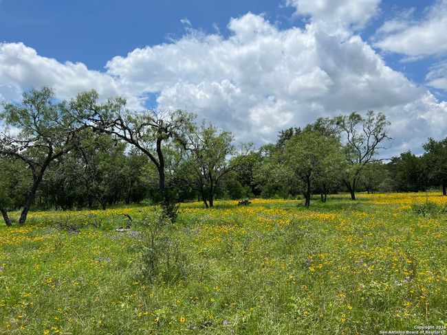412 Lebouf Rd, House other with 3 bedrooms, 3 bathrooms and null parking in Utopia TX | Image 7