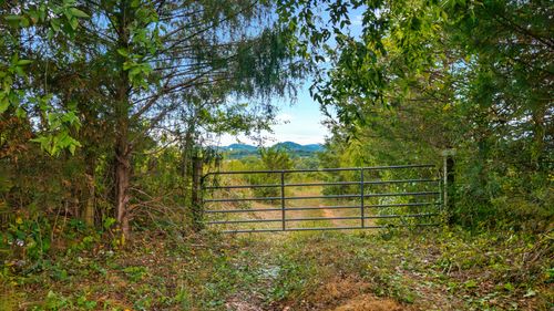0 County Road 550, Englewood, TN, 37329 | Card Image