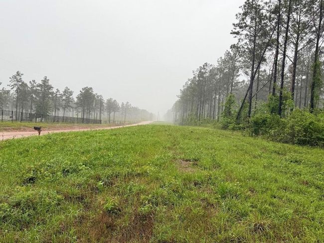 0 Richardson Rd E, Home with 0 bedrooms, 0 bathrooms and null parking in Livingston TX | Image 40