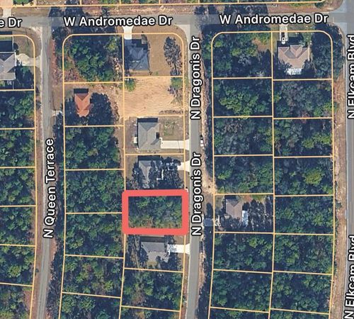 10924 N Dragonis Drive, Citrus Springs, FL, 34433 | Card Image