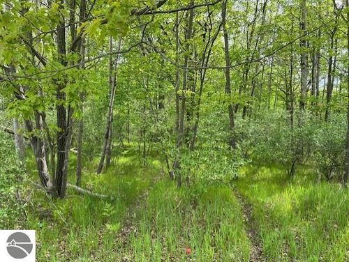 1004 Duquesa Dr, Weidman, MI, 48893-9392 | Card Image