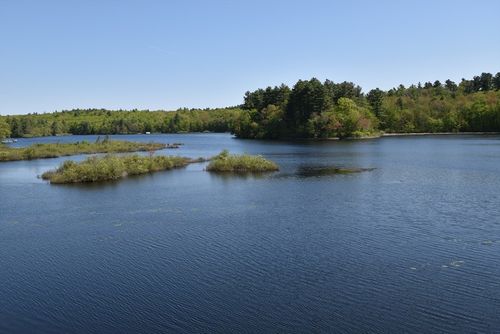 109 Rocky Pond Rd, Boylston, MA, 01505-1509 | Card Image