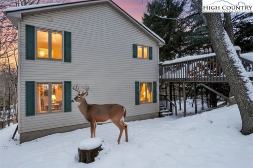 101 Doe Ln, Beech Mountain, NC, 28604-7203 | Card Image