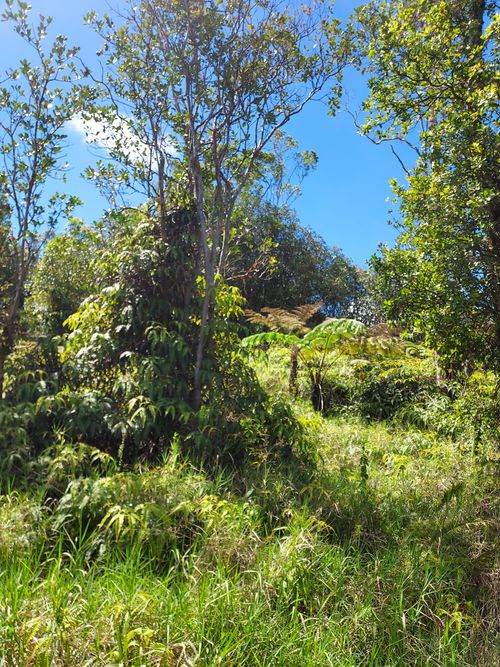 18-2300 Road 9, VOLCANO, HI, 96785 | Card Image