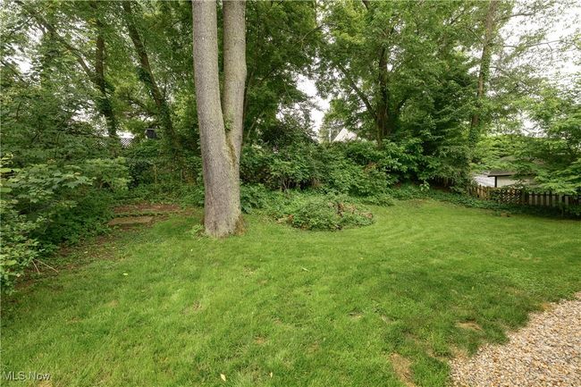 View of yard | Image 21