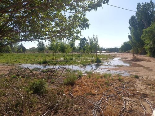 52 Ladera Rd, Belen, NM, 87002-8273 | Card Image