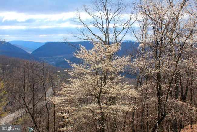 19 Homes At Timber Knl, House other with 4 bedrooms, 3 bathrooms and null parking in Scherr WV | Image 73